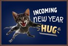 nieuwjaarskaart chocolade incoming new year hug kat